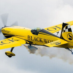 JG300_Faucon
