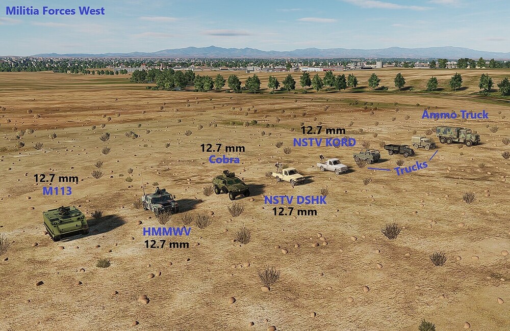 militia forces west.jpg