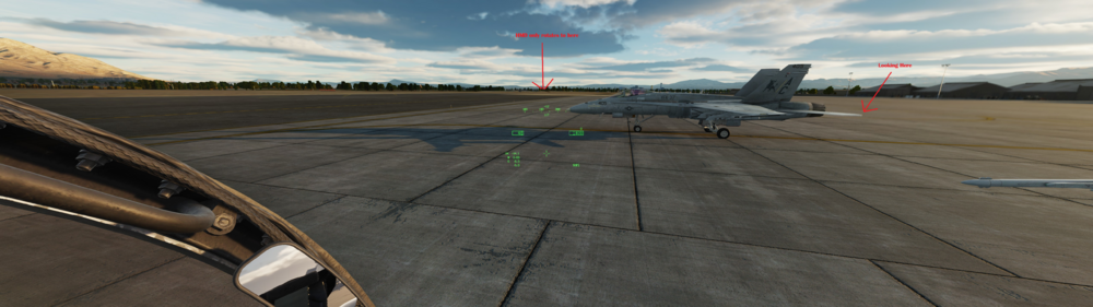 Tobii ET5 and DCS F18 HMD.png