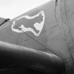 CatPaw