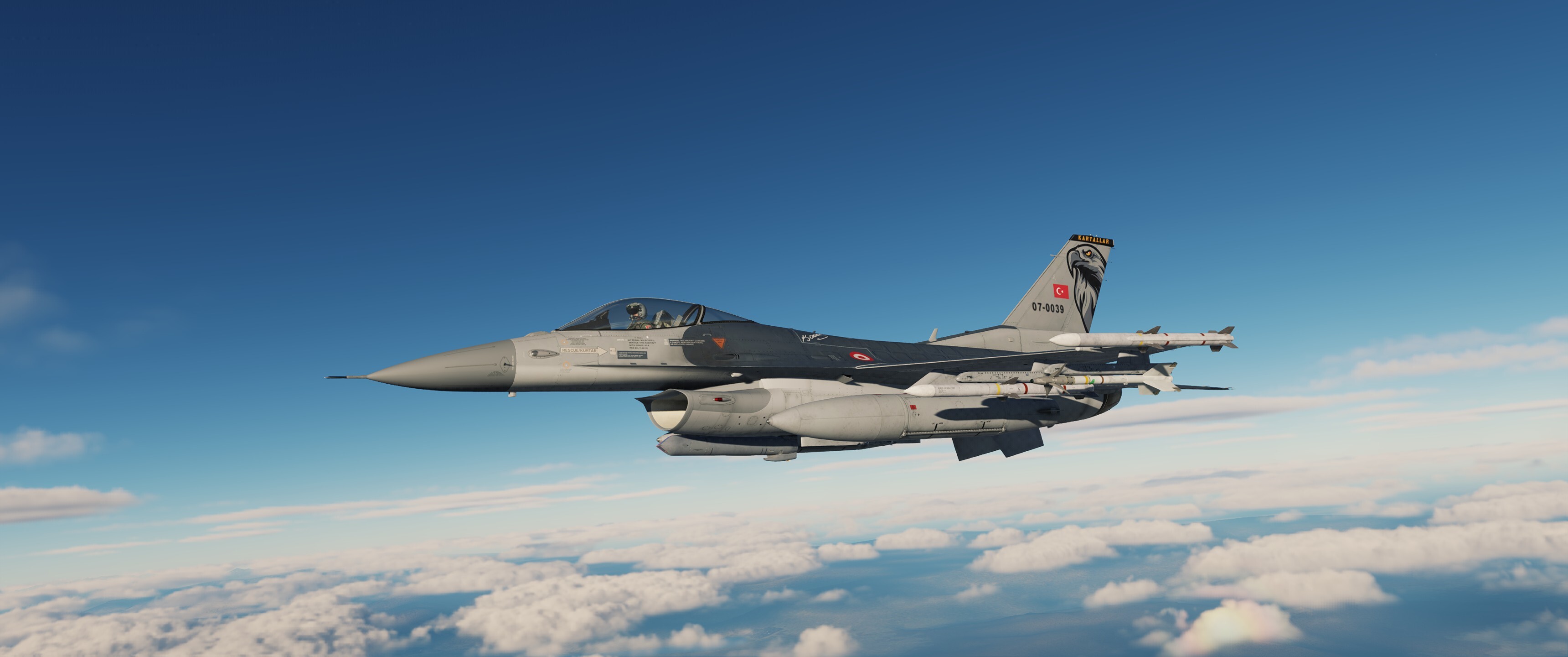 161.YARASA_Beyaz Kartallar