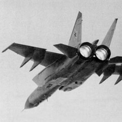medved