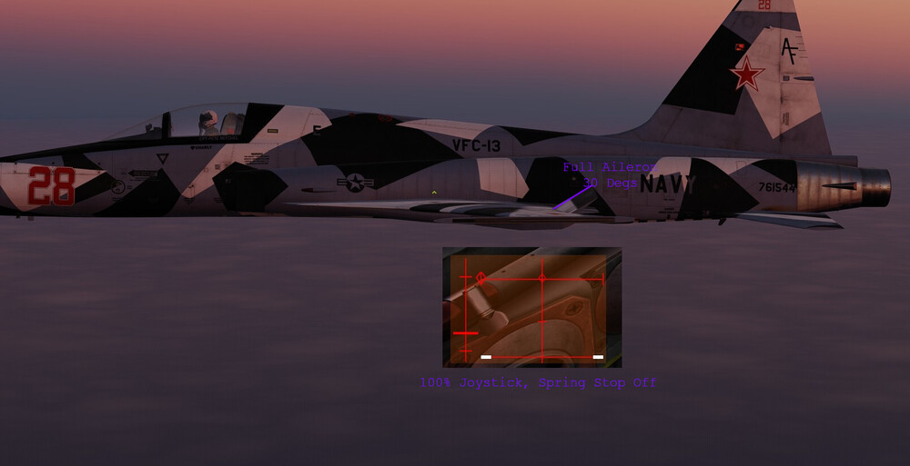 100 Aileron Compare DCS Aileron Angles.jpg