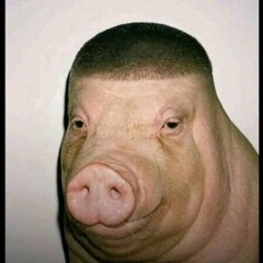 Андрюшка Свинюшка