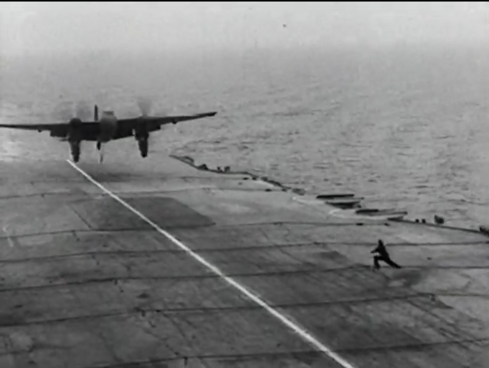 Mosquito Carrier.png